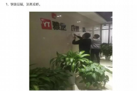 长阳为什么选择专业追讨公司来处理您的债务纠纷？